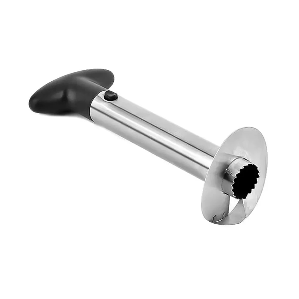 Spot Stainless Steel Pineapple - Pineapple Corer Slicer 리뷰 및 가격