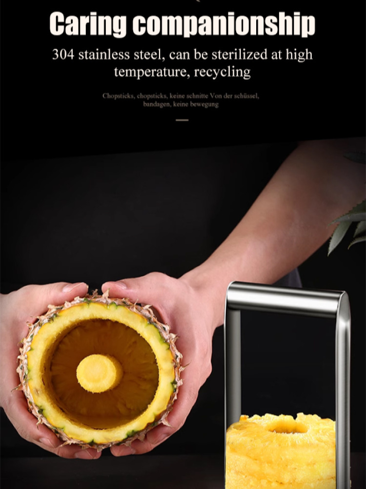 Stainless Steel Core Puller To - Pineapple Corer Slicer 리뷰 및 가격