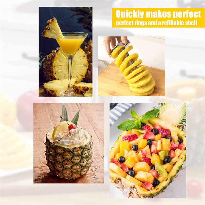 Stainless Steel Pineapple Core - Pineapple Corer Slicer 리뷰 및 가격
