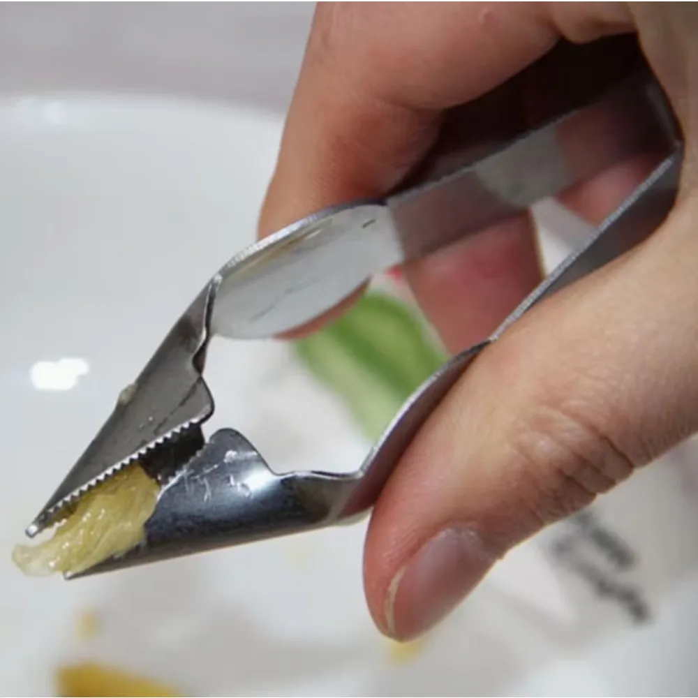 Stainless Steel Strawberry Pee - Pineapple Corer Slicer 리뷰 및 가격