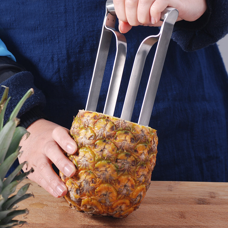 Stainless Steel Pineapple Peel - Pineapple Corer Slicer 리뷰 및 가격